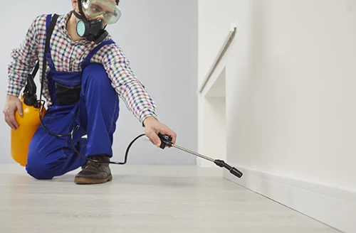 Disinfection Services