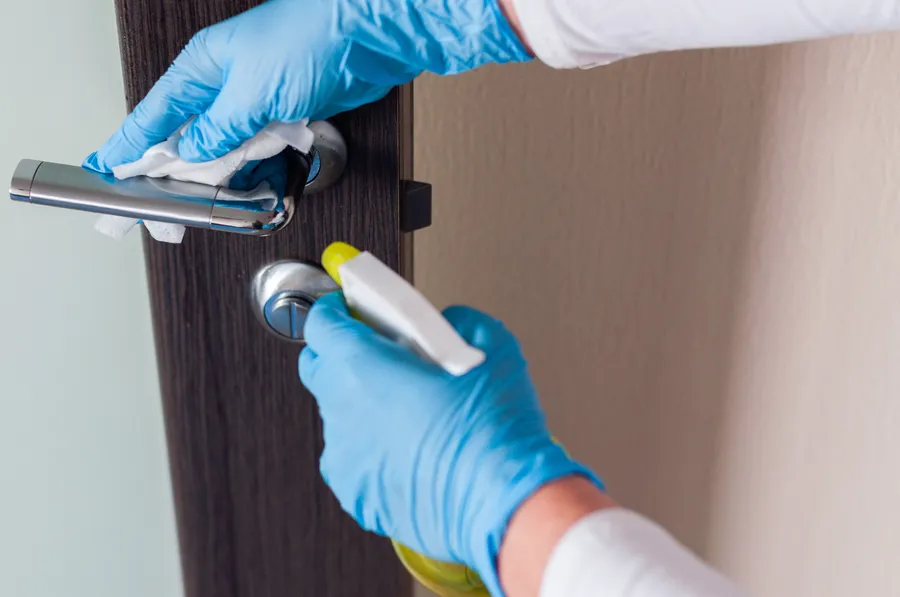 How Disinfection Supports Pet Friendly Carpet Care Columbus, GA How Disinfection Supports Pet Friendly Carpet Care Columbus, GA