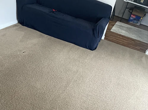 Steam Cleaning