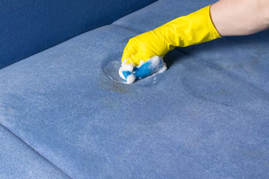 What To Expect From Upholstery Cleaning Service Visits Columbus, GA What To Expect From Upholstery Cleaning Service Visits Columbus, GA